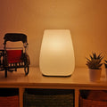 Lampe de Table Amber Nest